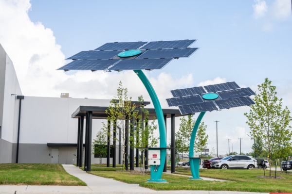 San Antonio Solar Flower