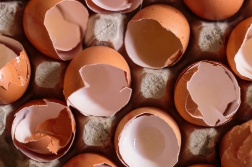 Cracked Eggs